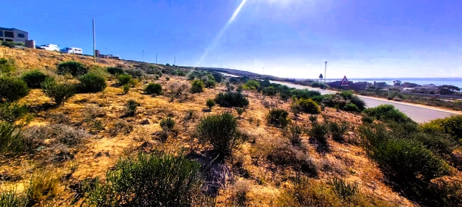 0 Bedroom Property for Sale in Steenbergs Cove Western Cape
